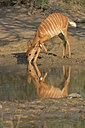 BUITEN BEELD Foto: 23871
