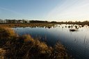 BUITEN BEELD Foto: 23955
