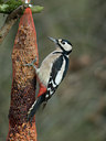 BUITEN BEELD Foto: 23972