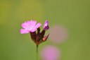 BUITEN BEELD Foto: 239107