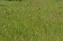 BUITEN BEELD Foto: 239111