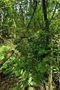 BUITEN BEELD Foto: 239181