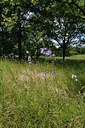 BUITEN BEELD Foto: 239200