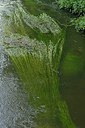 BUITEN BEELD Foto: 239225