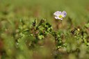 BUITEN BEELD Foto: 239285