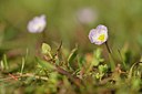 BUITEN BEELD Foto: 239290