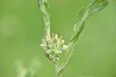 BUITEN BEELD Foto: 239364