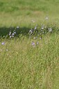 BUITEN BEELD Foto: 239392