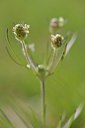 BUITEN BEELD Foto: 239404