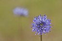 BUITEN BEELD Foto: 239408