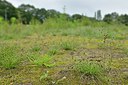 BUITEN BEELD Foto: 239425