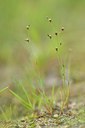 BUITEN BEELD Foto: 239431