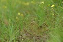 BUITEN BEELD Foto: 239433