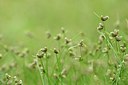 BUITEN BEELD Foto: 239460