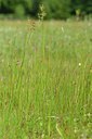 BUITEN BEELD Foto: 239496