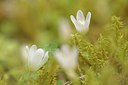 BUITEN BEELD Foto: 239503