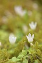 BUITEN BEELD Foto: 239504