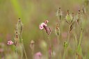 BUITEN BEELD Foto: 239532