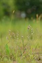 BUITEN BEELD Foto: 239541