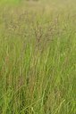 BUITEN BEELD Foto: 239601