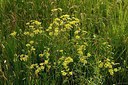 BUITEN BEELD Foto: 239602