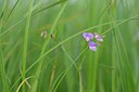 BUITEN BEELD Foto: 239607