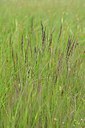 BUITEN BEELD Foto: 239609