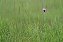 BUITEN BEELD Foto: 239621