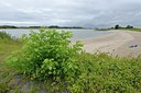 BUITEN BEELD Foto: 239637