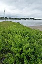 BUITEN BEELD Foto: 239639