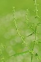 BUITEN BEELD Foto: 239714
