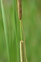 BUITEN BEELD Foto: 239723
