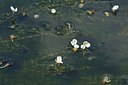 BUITEN BEELD Foto: 239726