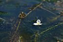 BUITEN BEELD Foto: 239730