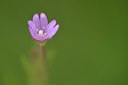 BUITEN BEELD Foto: 239745