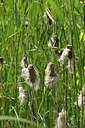 BUITEN BEELD Foto: 239753