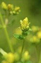 BUITEN BEELD Foto: 239795