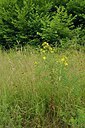 BUITEN BEELD Foto: 239804