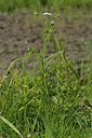 BUITEN BEELD Foto: 239820