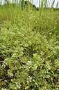 BUITEN BEELD Foto: 239855