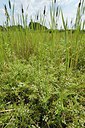BUITEN BEELD Foto: 239856