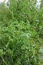 BUITEN BEELD Foto: 239862