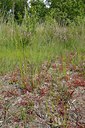 BUITEN BEELD Foto: 239909