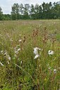 BUITEN BEELD Foto: 239934
