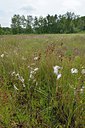 BUITEN BEELD Foto: 239935