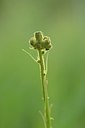 BUITEN BEELD Foto: 239938