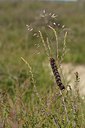 BUITEN BEELD Foto: 239949