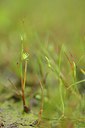 BUITEN BEELD Foto: 239958