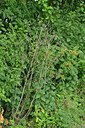 BUITEN BEELD Foto: 239959
