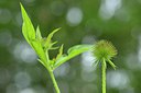 BUITEN BEELD Foto: 239963